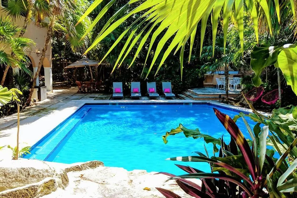 Steps To Ocean Huge Beach Villa Private Pool In Exclusive Fase 1 Playacar 신데 델 카르멘