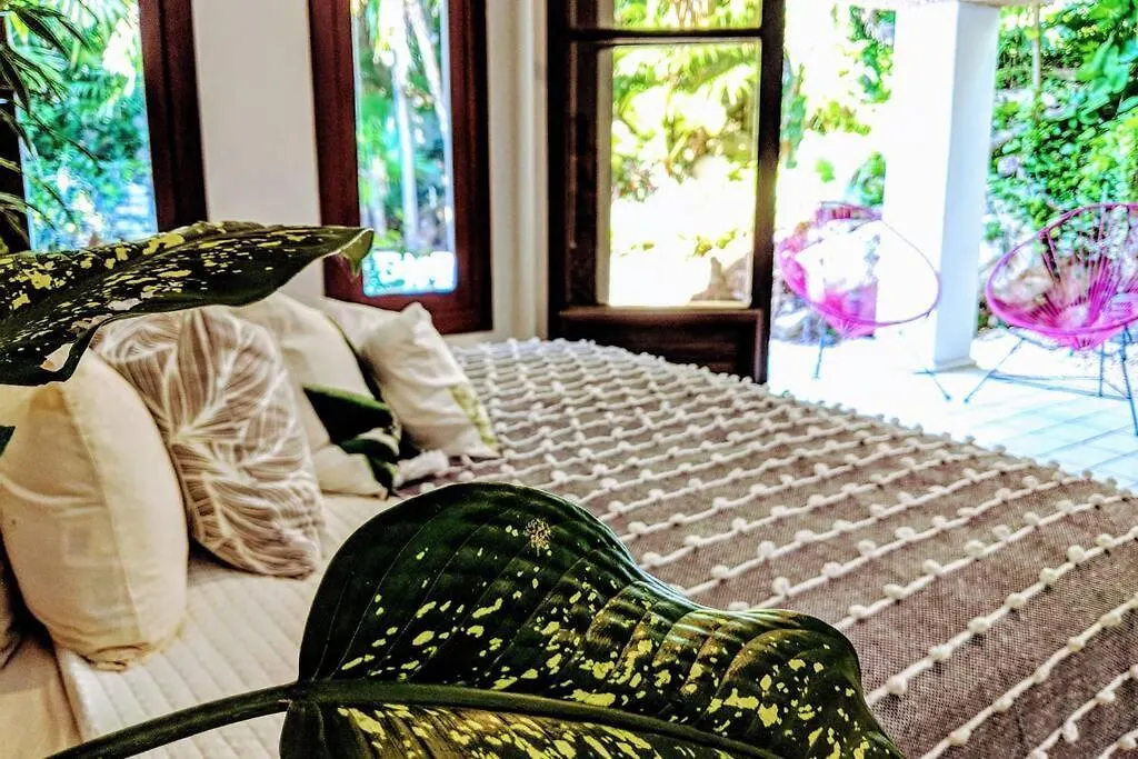 Steps To Ocean Huge Beach Villa Private Pool In Exclusive Fase 1 Playacar 신데 델 카르멘 멕시코