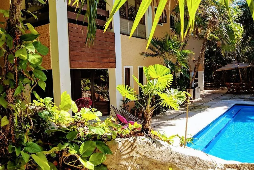 Steps To Ocean Huge Beach Villa Private Pool In Exclusive Fase 1 Playacar 신데 델 카르멘 0*,