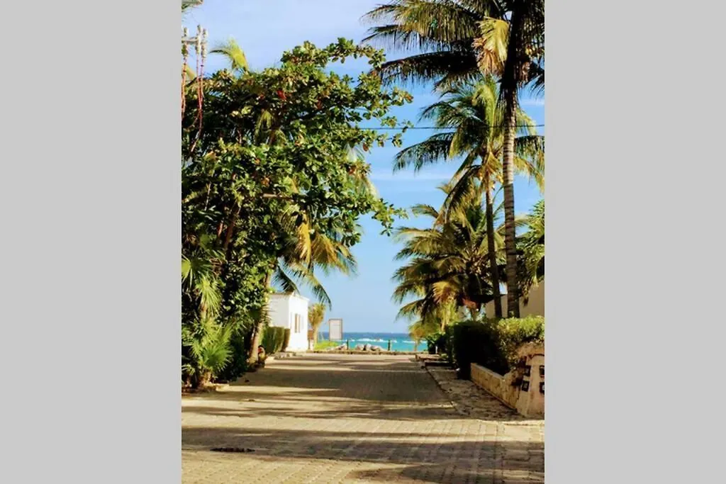 Steps To Ocean Huge Beach Villa Private Pool In Exclusive Fase 1 Playacar 신데 델 카르멘