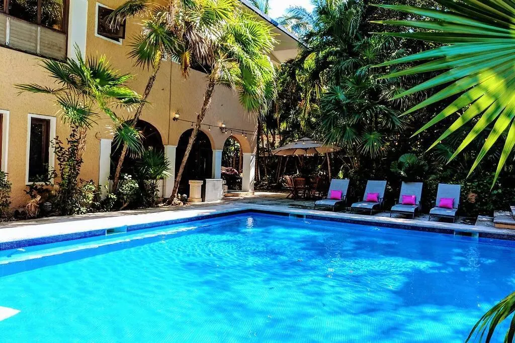 Steps To Ocean Huge Beach Villa Private Pool In Exclusive Fase 1 Playacar 신데 델 카르멘 멕시코
