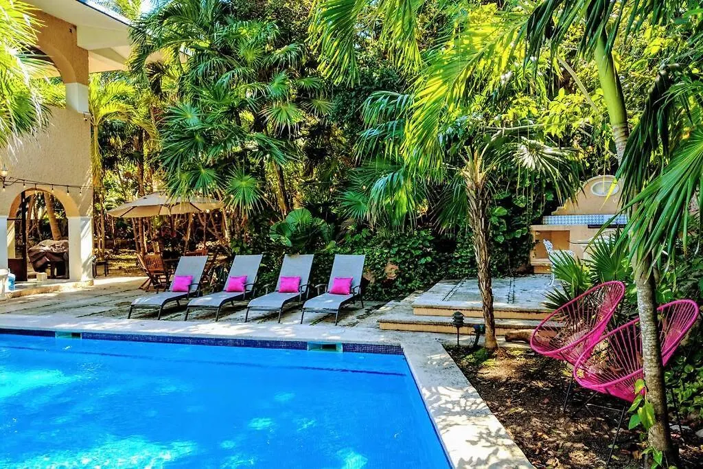 Steps To Ocean Huge Beach Villa Private Pool In Exclusive Fase 1 Playacar 신데 델 카르멘
