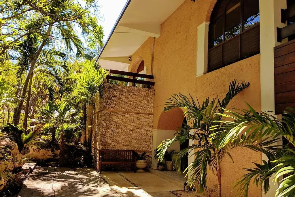 Steps To Ocean Huge Beach Villa Private Pool In Exclusive Fase 1 Playacar 신데 델 카르멘 0*,  멕시코